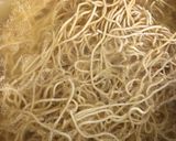Foto del paso 5 de la receta: Chow Mein