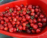 A picture of step 1 of Cherry Tart with Maple Cream.