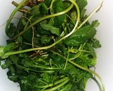 Foto del paso 3 de la receta: Caldito de res