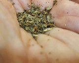 Foto del paso 6 de la receta: Cocido sencillo improvisado