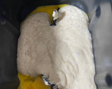 Foto del paso 2 de la receta: Panettone de chocolate (en panificadora)