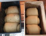 Foto langkah ke 6 dari resep Shokupan with Poolish - versi 2.