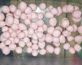 Foto langkah ke 5 dari resep [Minuman Buka Puasa] Es Pleret Pinky Tanpa Penyet.