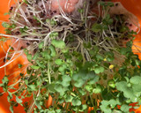 A picture of step 3 of Egg Nest with Magic Sauce.