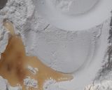 A picture of step 7 of Puran Poli.