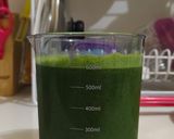 Foto langkah ke 5 dari resep Cold Pressed Juice : Green Juice (vegetable).