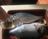 Foto del paso 8 de la receta: Dorada al Jerez