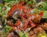 A picture of step 3 of Stir fry broccoli.