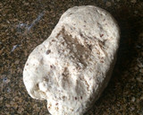 Foto del paso 5 de la receta: Pan de avena y semillas