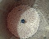 A picture of step 1 of Instant sweet medu vada.