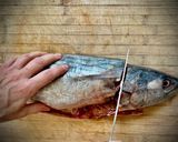 Foto del paso 1 de la receta: Bonito del Atlántico a la roteña