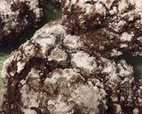 Une image de l'étape 10 de Craquelins au chocolat.