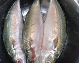 Foto langkah ke 1 dari resep Ikan Kembung Tumis Cabai Hijau.