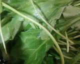 पालक मखाना (Palak makhana recipe in Hindi) रेसिपी चरण 1 फोटो