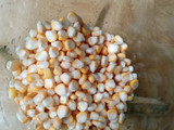 Lemet jagung tua