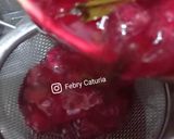 Foto langkah ke 3 dari resep Sirup kulit Buah Naga.
