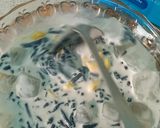 Foto langkah ke 5 dari resep Es dawet ireng/hitam khas Purworejo creamy (versi modern).