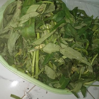 Langkah 1