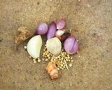 Foto langkah ke 1 dari resep Bobor bayam kacang.
