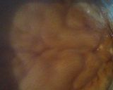 Foto del paso 4 de la receta: Dulce de leche