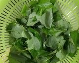 Hình bước làm 1 của món Gỏi rau diếp cá