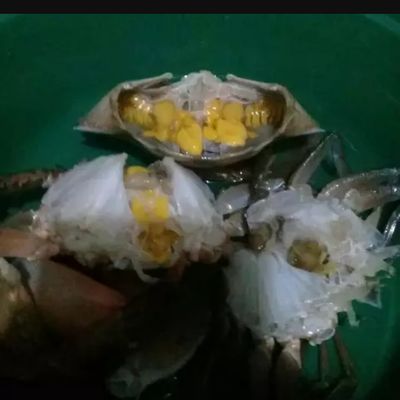 Langkah 1