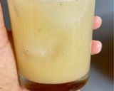 Foto del paso 4 de la receta: Zumo natural de semillas de melón y menta