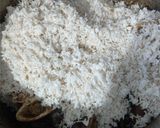A picture of step 9 of Beef pilau with tinge of coconut.