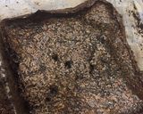自製綿密巧克力布朗尼的食譜步驟4照片