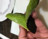 Foto del paso 2 de la receta: Ensalada de tomate salmón y queso fresco y aguacate con Vidalim