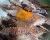 Foto langkah ke 1 dari resep Pepes Tuna Praktis.