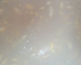 صورة لخطوة 2 من وصفة لوبيا ڨريني (تفصاص)