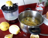 Foto del paso 1 de la receta: Granizado de limón, canela y hierbabuena