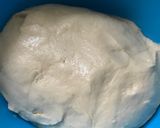 A picture of step 7 of Risen dough.