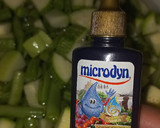 Foto del paso 4 de la receta: Mole de olla