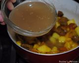 A picture of step 9 of Apple-apricot lamb stew.