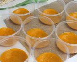 Foto langkah ke 9 dari resep Mango Sago Dessert Cup.