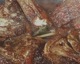 Foto langkah ke 3 dari resep Ikan bawal bumbu rendang simple.