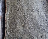 Foto del paso 3 de la receta: Arrollado de hojas de remolacha (esta versión, con atún)