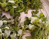 عکس مرحله 1 از دستور 🍝🌿🍀ماکارانی با سبزی خوردن تازه خانگی🍝🍀🌿