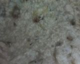 Foto del paso 5 de la receta: Panqueques integrales de licuadora