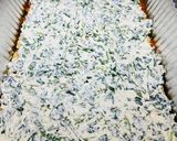 A picture of step 8 of Spinach Lasagna.