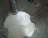 Foto del paso 6 de la receta: Queso de untar casero