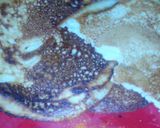 A picture of step 3 of Sinasir wt fish stew.