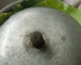 Foto langkah ke 5 dari resep Garang Asem.
