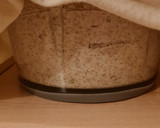 Foto del paso 6 de la receta: Pan de trigo sarraceno EN GRANO 🌾 fermentado 24 h 🌾 sin gluten ni levadura ni masa madre ni harina