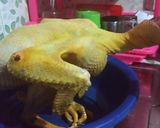 Foto langkah ke 2 dari resep Gulai Ayam Jago.
