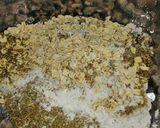 صورة لخطوة 1 من وصفة كراكرز شوفان بالزعتر