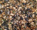 Foto del paso 3 de la receta: Huitlacoche