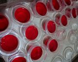 Foto langkah ke 2 dari resep Jelly Merah Merdeka.